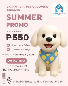 Read more about the article 🌴 Summer Refresh: ₱550 Grooming Promo!