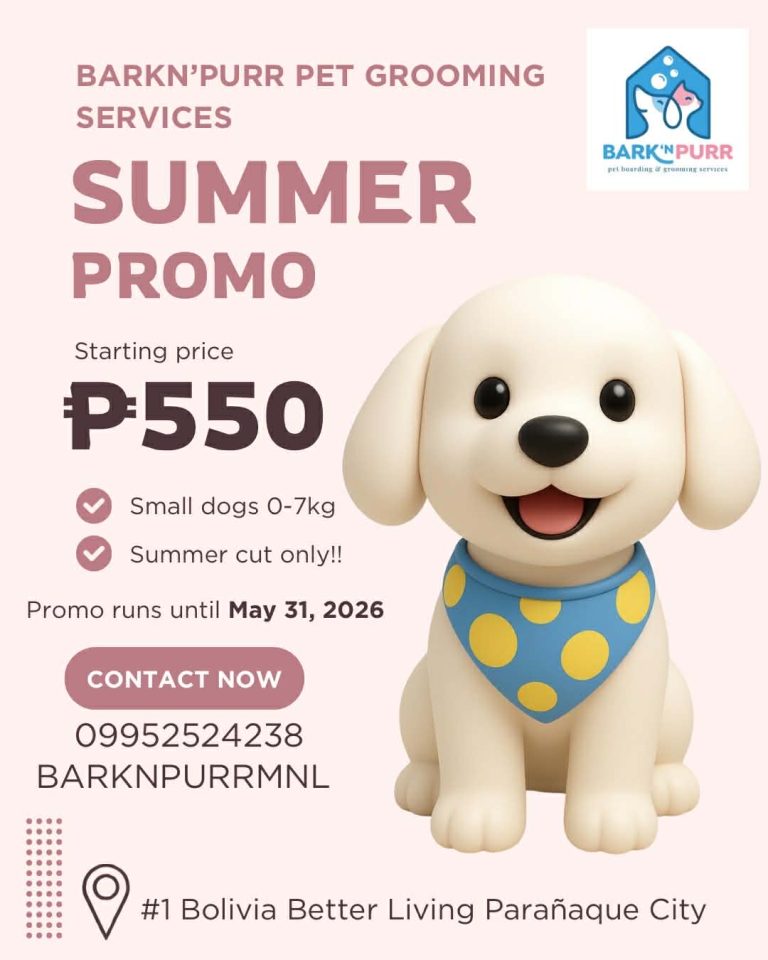 Read more about the article 🌴 Summer Refresh: ₱550 Grooming Promo!